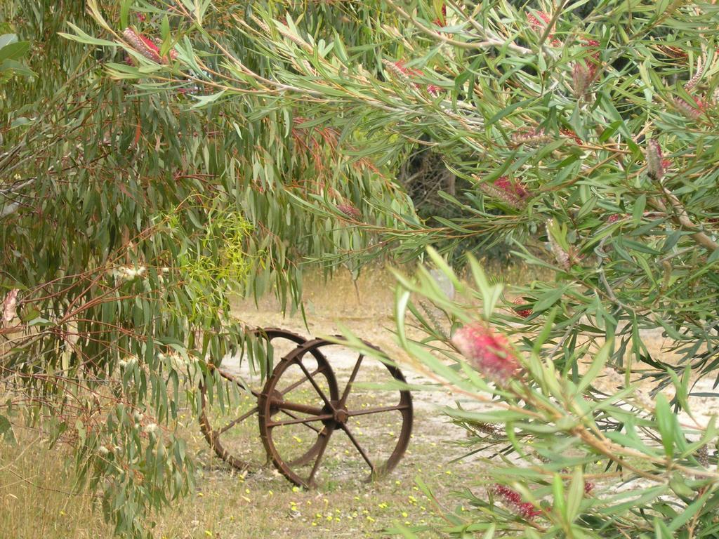 Ellensbrook Cottages Cowaramup Exteriör bild